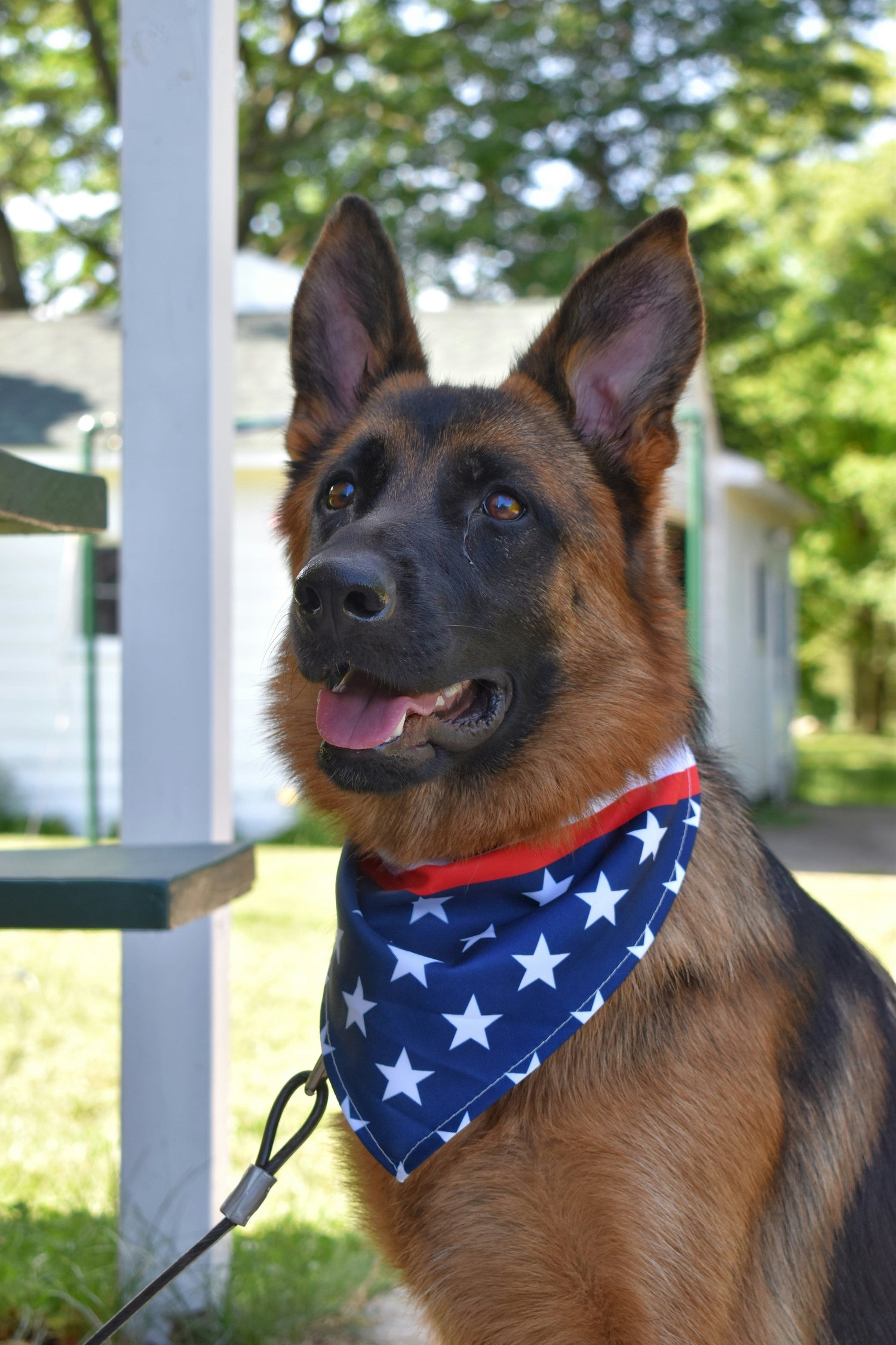 Faith. Fur. Freedom